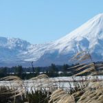 May-09-Toitoi5