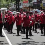 whanganui-xmas-2