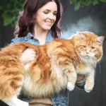 Long cat
