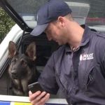 NZPoliceMeanTweetsFeat