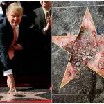 Hollywood star