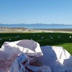 Kaiaua fisheries facebook