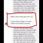 SUPPLIED-snapchat-conversation-bird-abuse-blurred