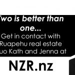 NZR Real Estate Banner