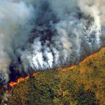 amazon-rainforest-fires-nasa-space-photos-5d5d09b263bd0__700