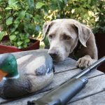 Gun_Hunting_Stock_DH-1912-057