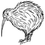 depositphotos_45983495-stock-illustration-kiwi-bird