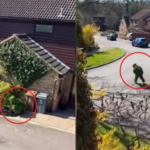 man-dressed-bush