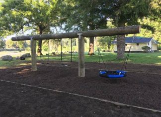 No questions asked for return of Cherry Grove swings