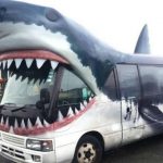 TRADEME-SHARKBUS-KELLY-TARLTONS-`1120