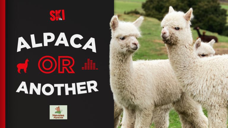 Win a family pass to Nevalea Alpacas!