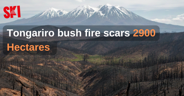 Tongariro Bush Fire Scars 2,900 Hectares