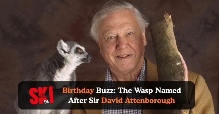 Sir David Attenborough 100th Birthday: New Wasp Species Named