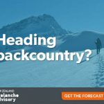 170926.MSC.COM.Resources-web-nzaa-300×250