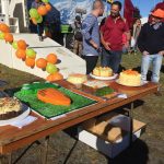 CarrotCarnivalSmall2