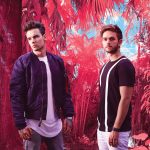 zedd-liam