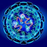 c57fcdde-0e6a-4c08-bbbe-55a1e06505da-2_blue_coronavirus_structure_getty_science_stock_1024