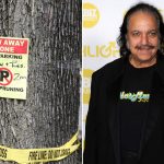 ron-jeremy-tree