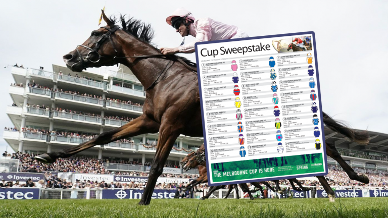 Watching the Melbourne Cup? Here’s a sweepstake PDF to print
