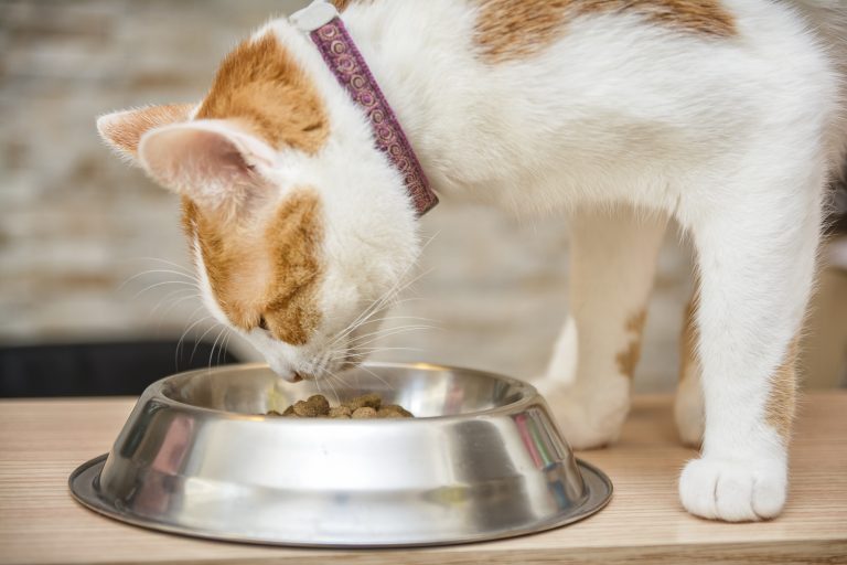 Does beef flavoured cat food actually taste like beef?