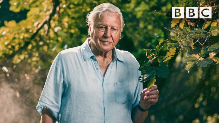 WATCH: 95 Years of Sir David Attenborough