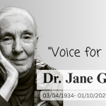 Jane Goodall_20251005_042832_0000