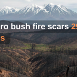 Tonga_20251122_162012_0000